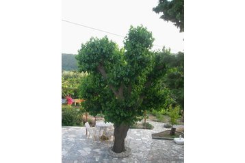 Pension de famille Kampor 3